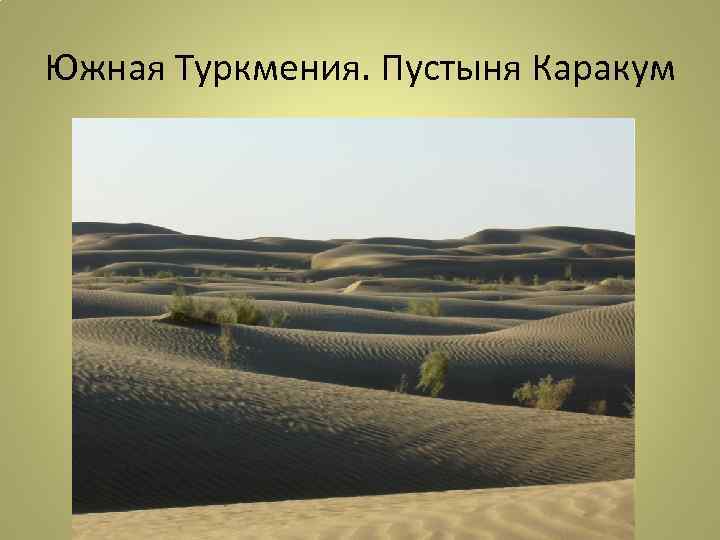 Южная Туркмения. Пустыня Каракум 