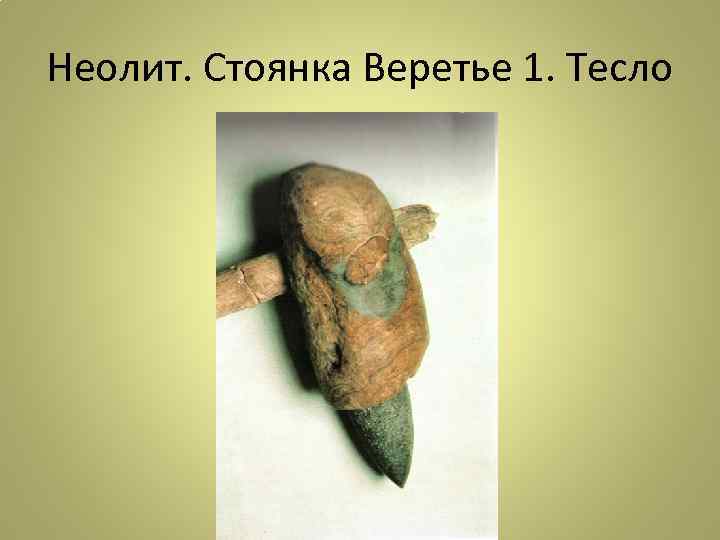 Неолит. Стоянка Веретье 1. Тесло 