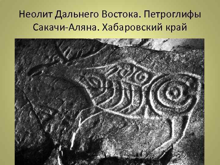 Неолит Дальнего Востока. Петроглифы Сакачи-Аляна. Хабаровский край 