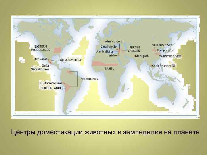 Центры доместикации животных и земледелия на планете 