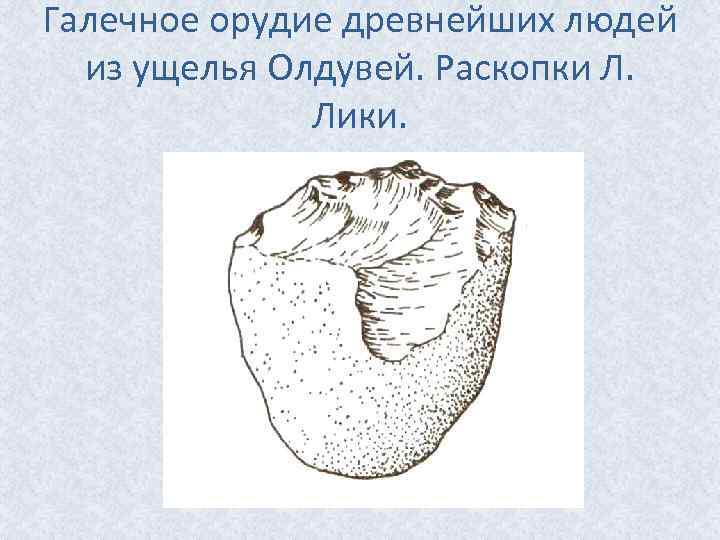 Галечное орудие древнейших людей из ущелья Олдувей. Раскопки Л. Лики. 
