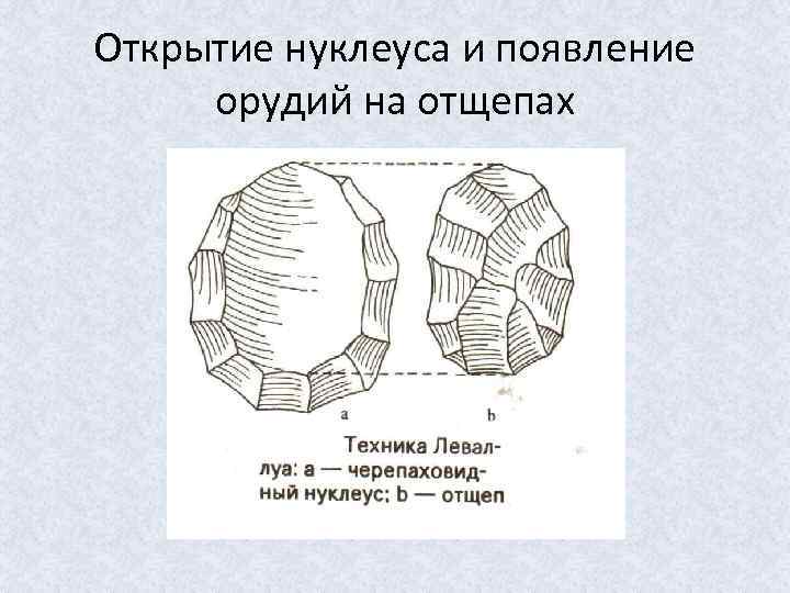 Открытие нуклеуса и появление орудий на отщепах 