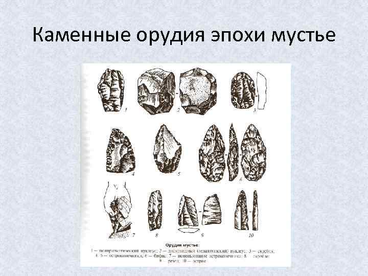 Каменные орудия эпохи мустье 