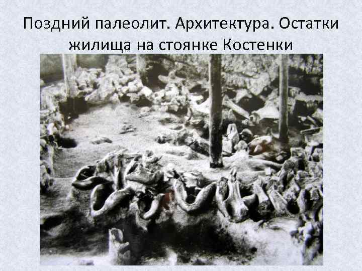 Поздний палеолит. Архитектура. Остатки жилища на стоянке Костенки 