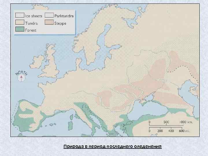 Природа в период последнего оледенения 