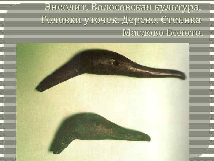 Энеолит. Волосовская культура. Головки уточек. Дерево. Стоянка Маслово Болото. 