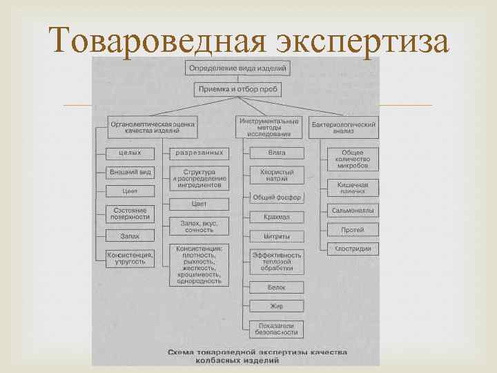 Товароведная характеристика образцов