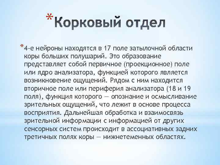 * *4 -е нейроны находятся в 17 поле затылочной области коры больших полушарий. Это