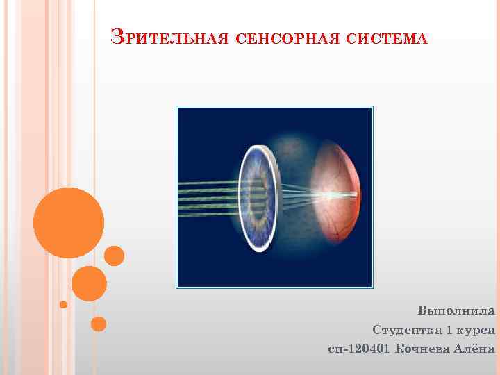 Зрительная сенсорная система. Система зрительной сенсорной система. Зрительная сенсорная система презентация. Зрительная и слуховая сенсорные системы.