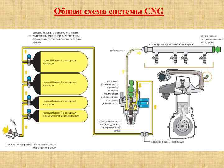 Общая схема системы CNG 