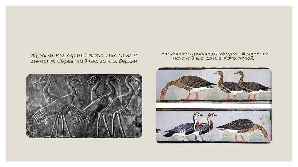 Журавли. Рельеф из Сакара. Известняк. V династия. Середина 3 тыс. до н. э. Берлин