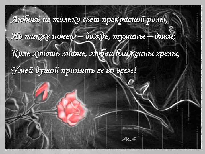 Любовь не только свет прекрасной розы, Но также ночью – дождь, туманы – днем;