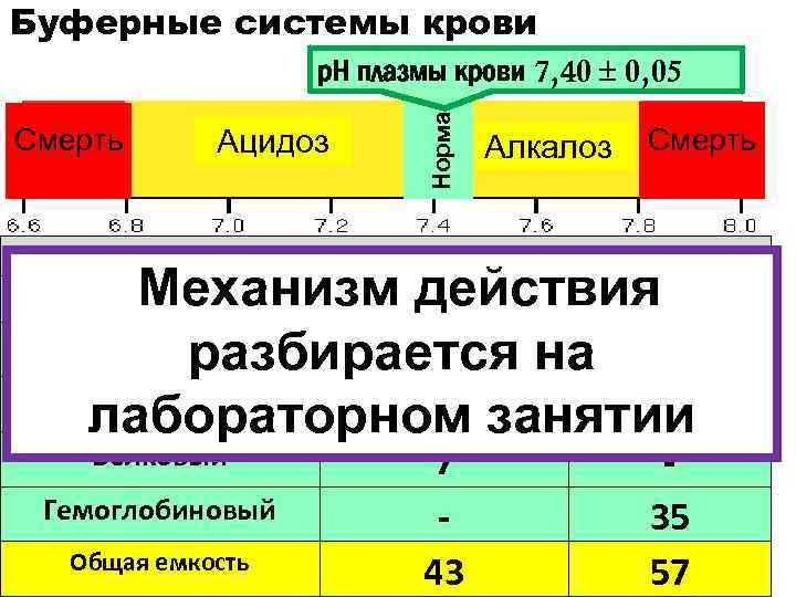 Буферные системы крови Ацидоз Смерть Норма р. Н плазмы крови 7, 40 0, 05