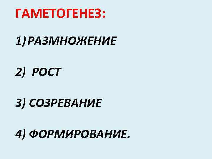 ГАМЕТОГЕНЕЗ: 1) РАЗМНОЖЕНИЕ 2) РОСТ 3) СОЗРЕВАНИЕ 4) ФОРМИРОВАНИЕ. 