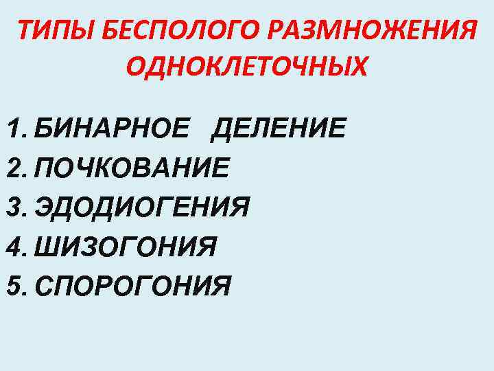 ТИПЫ БЕСПОЛОГО РАЗМНОЖЕНИЯ ОДНОКЛЕТОЧНЫХ 1. БИНАРНОЕ ДЕЛЕНИЕ 2. ПОЧКОВАНИЕ 3. ЭДОДИОГЕНИЯ 4. ШИЗОГОНИЯ 5.