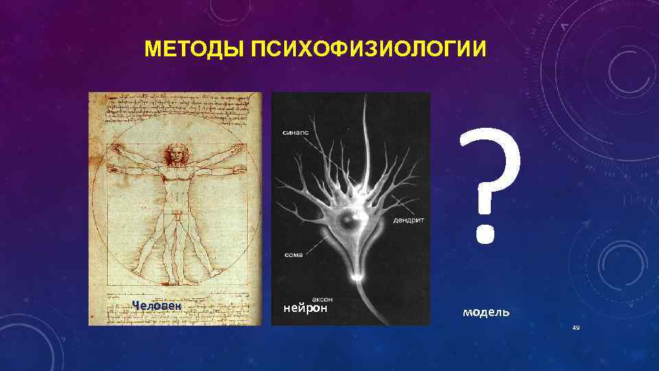 МЕТОДЫ ПСИХОФИЗИОЛОГИИ ? Человек нейрон модель 49 