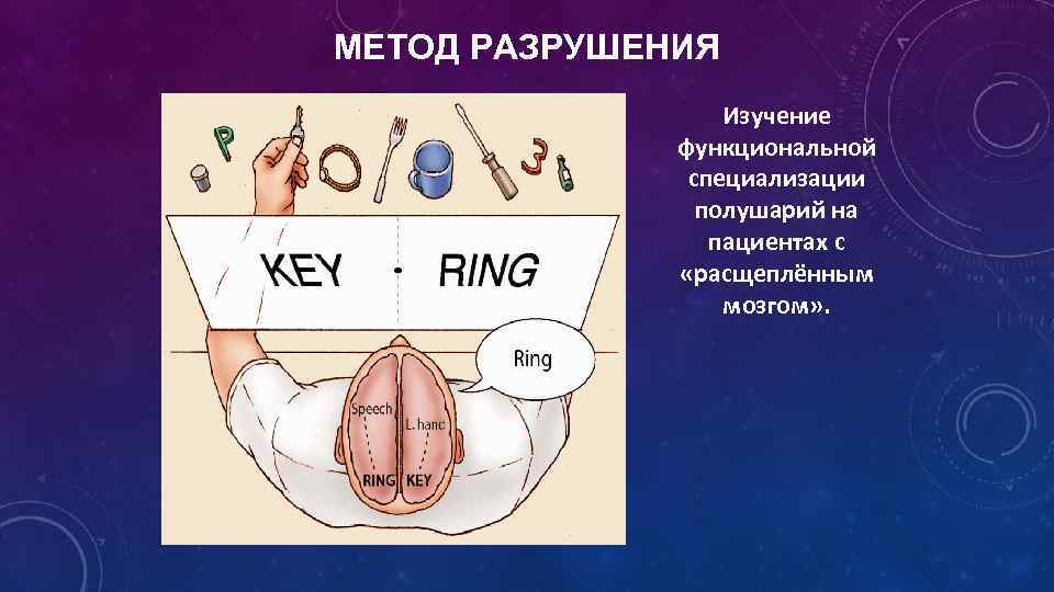 МЕТОД РАЗРУШЕНИЯ Изучение функциональной специализации полушарий на пациентах с «расщеплённым мозгом» . 