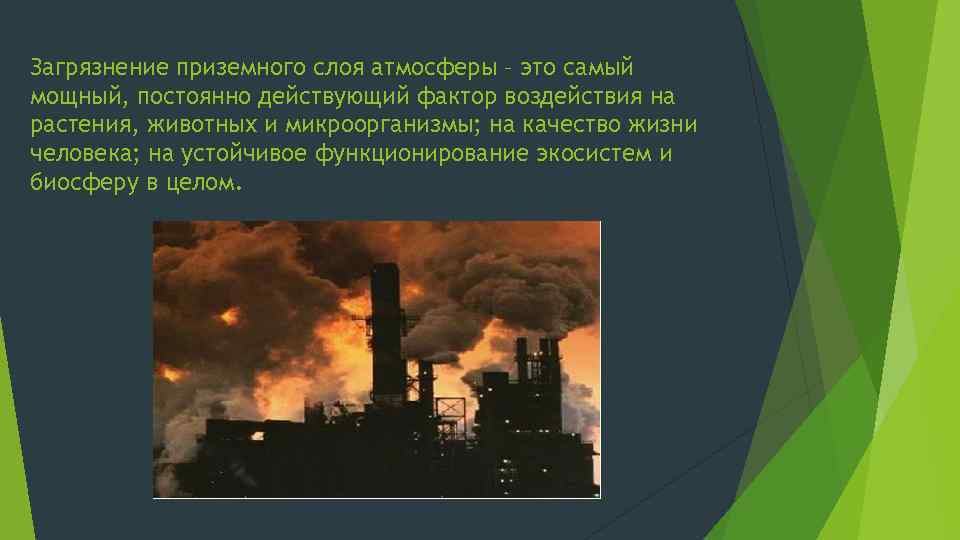 Загрязнение приземного слоя атмосферы – это самый мощный, постоянно действующий фактор воздействия на растения,