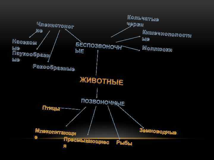 Членистоног ие Кольчатые черви Кишечнопол остн ые Насеком ые Паукообразн ые Ракообразны е Моллюски