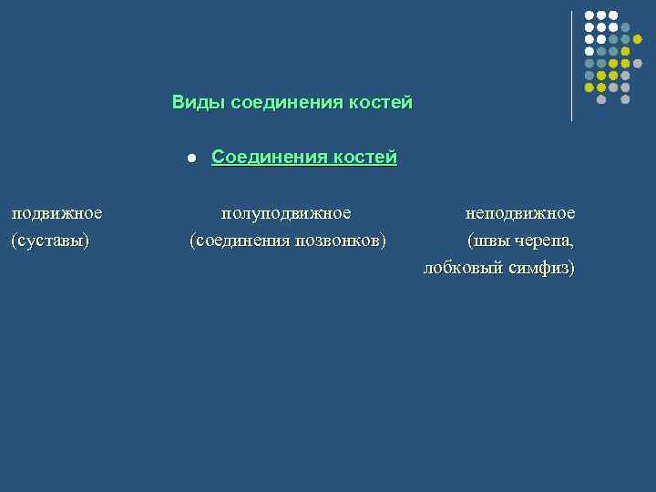 Виды соединения костей Соединения костей подвижное полуподвижное неподвижное (суставы) (соединения позвонков) (швы черепа,