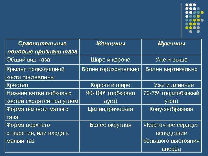 Сравнительные половые признаки таза Общий вид таза Женщины Мужчины Шире и короче Уже и