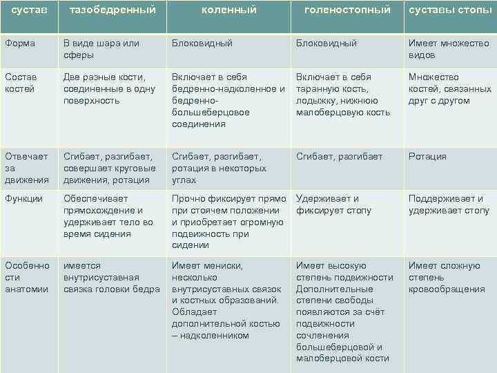 сустав тазобедренный коленный голеностопный суставы стопы Форма В виде шара или сферы Блоковидный Имеет