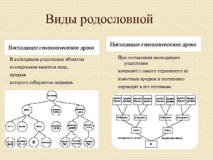 Типы родословных