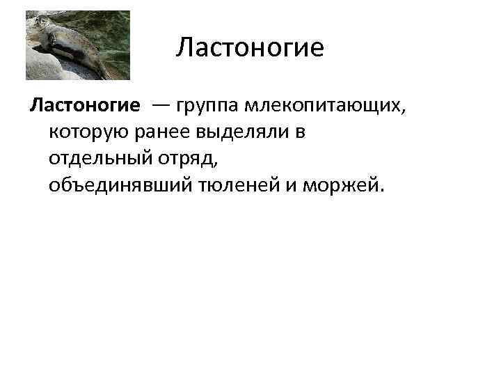 Ластоногие — группа млекопитающих, которую ранее выделяли в отдельный отряд, объединявший тюленей и моржей.