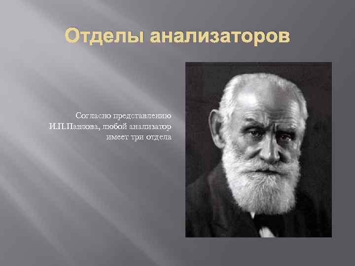 Учение об анализаторах разработано. И П Павлов анализатор. Учение и.п. Павлова об анализаторах. Анализатор по и.п. Павлову.