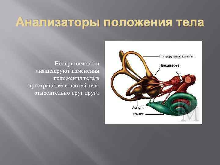 Изменение положения тела в пространстве