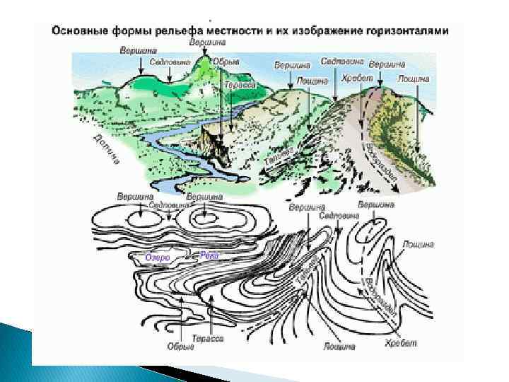 Карта рельефа местности. Схема рельефа местности. Изучение рельефа местности по карте с горизонталями. Основные формы рельефа местности. Основные формы рельефа в геодезии.