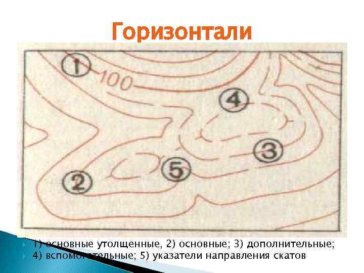 Значение горизонтали. Утолщенные горизонтали. Вспомогательные горизонтали. Сплошные горизонтали на карте. Горизонтали основные утолщенные.