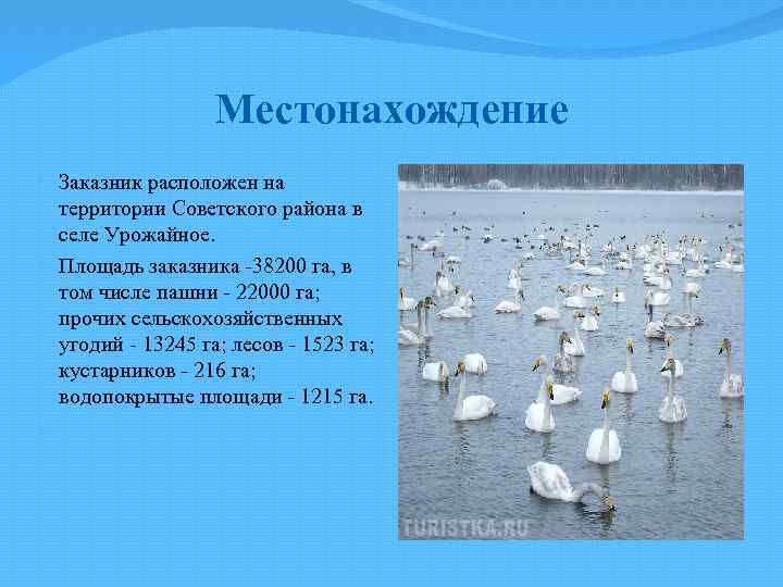 Местонахождение Заказник расположен на территории Советского района в селе Урожайное. Площадь заказника 38200 га,