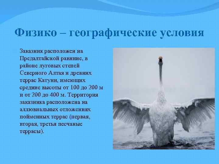 Физико – географические условия Заказник расположен на Предалтайской равнине, в районе луговых степей Северного