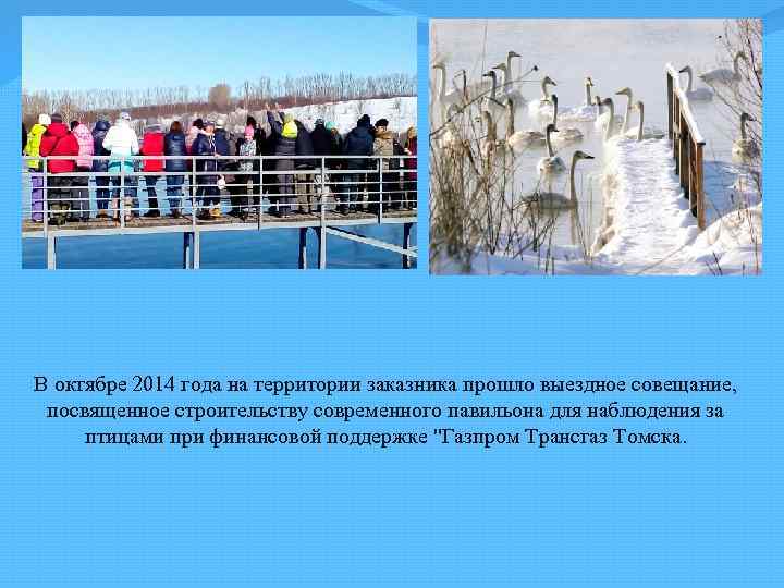 В октябре 2014 года на территории заказника прошло выездное совещание, посвященное строительству современного павильона