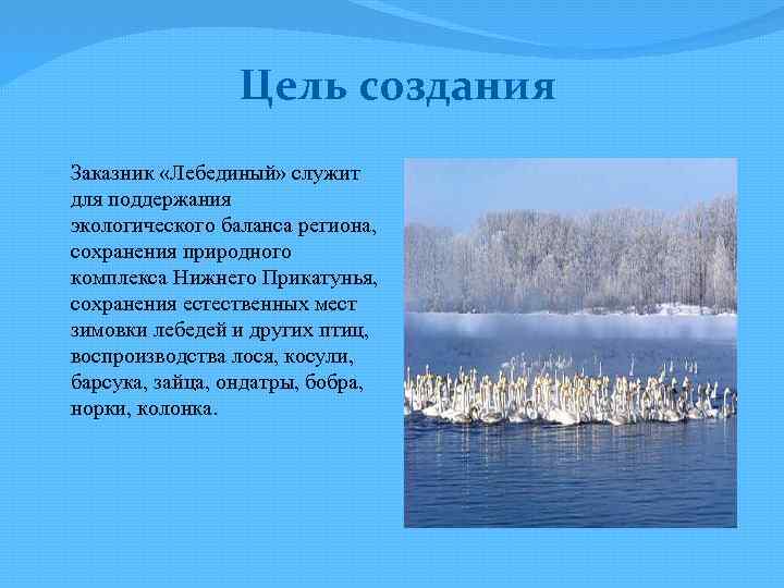 Цель создания Заказник «Лебединый» служит для поддержания экологического баланса региона, сохранения природного комплекса Нижнего