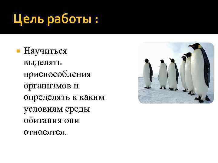 Цель работы : Научиться выделять приспособления организмов и определять к каким условиям среды обитания