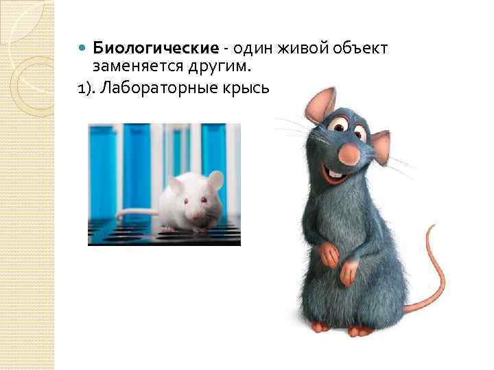 Биологические - один живой объект заменяется другим. 1). Лабораторные крысы 