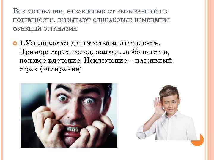 ВСЕ МОТИВАЦИИ, НЕЗАВИСИМО ОТ ВЫЗЫВАВШЕЙ ИХ ПОТРЕБНОСТИ, ВЫЗЫВАЮТ ОДИНАКОВЫЕ ИЗМЕНЕНИЯ ФУНКЦИЙ ОРГАНИЗМА: 1. Усиливается