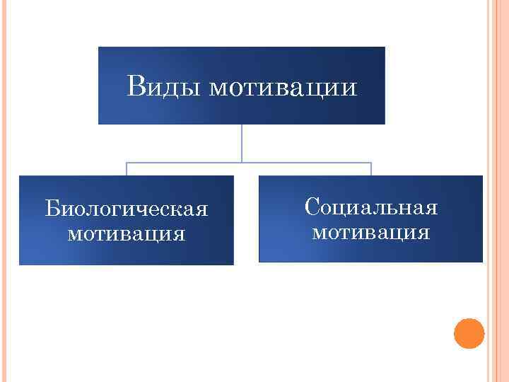 В основе мотивов лежат. Виды мотивации. Биологические мотивации. Биологические и социальные мотивации. Классификация мотиваций физиология.