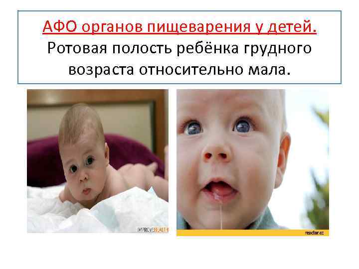АФО органов пищеварения у детей. Ротовая полость ребёнка грудного возраста относительно мала. 