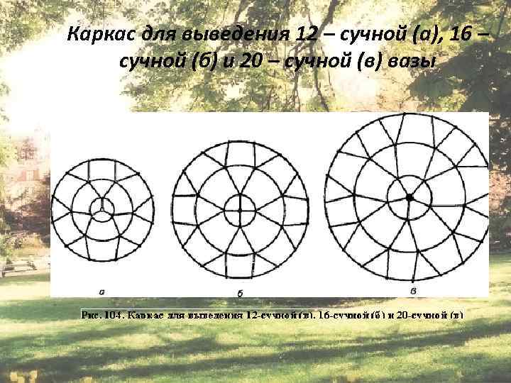 Каркас для выведения 12 – сучной (а), 16 – сучной (б) и 20 –