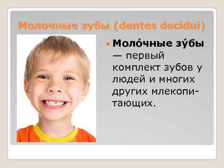 Молочные зубы (dentes decidui) Моло чные зу бы — первый комплект зубов у людей