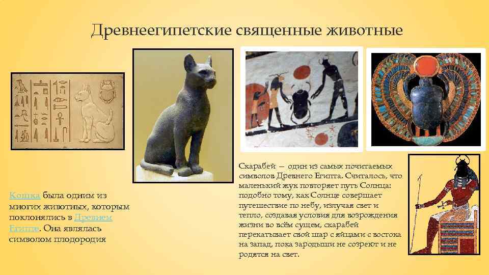 Древнеегипетские священные животные Кошка была одним из многих животных, которым поклонялись в Древнем Египте.