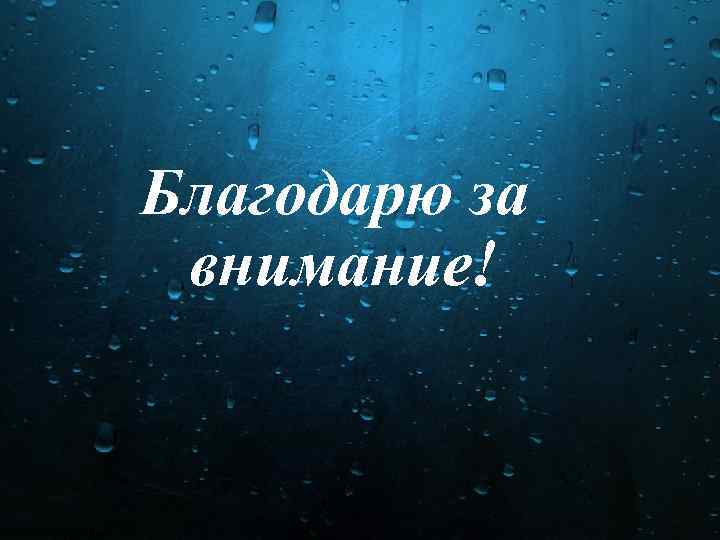 Благодарю за внимание! 