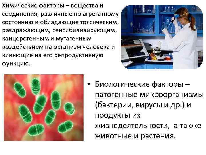 Химические факторы – вещества и соединения, различные по агрегатному состоянию и обладающие токсическим, раздражающим,