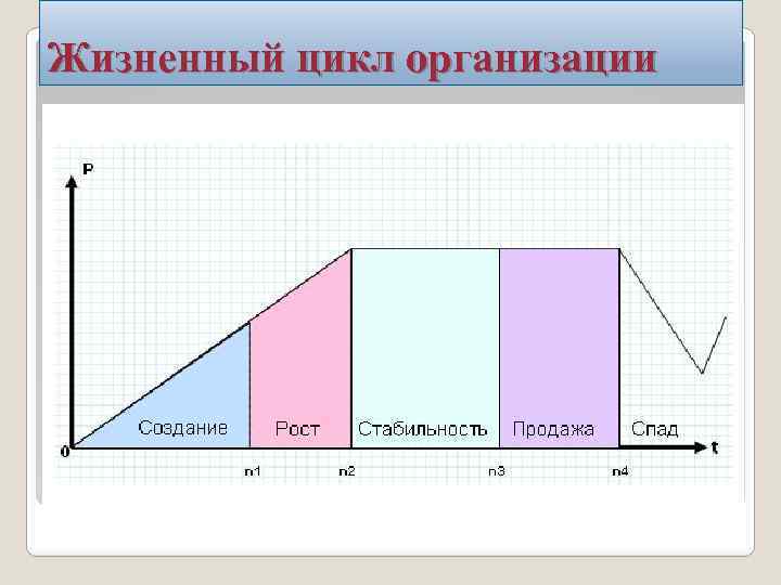 Жизненный цикл организации 