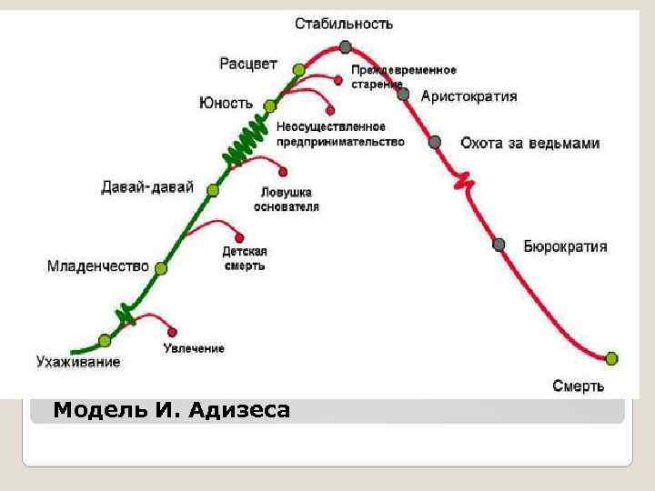 Модель И. Адизеса 