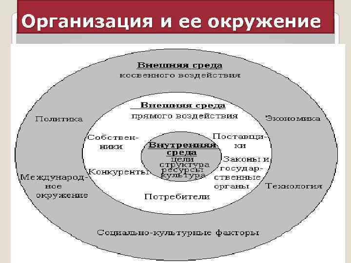 Организация и ее окружение 