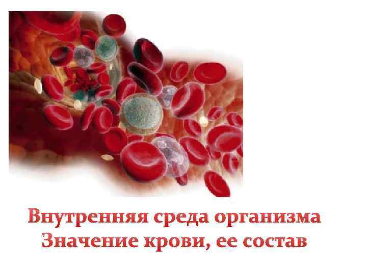 Внутренняя среда организма Значение крови, ее состав 
